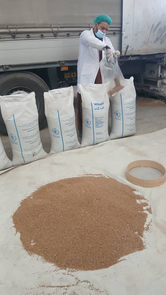 Wheat Grain Inspection