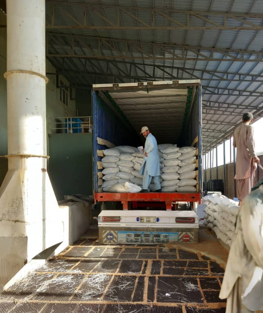 Wheat Grain Inspection